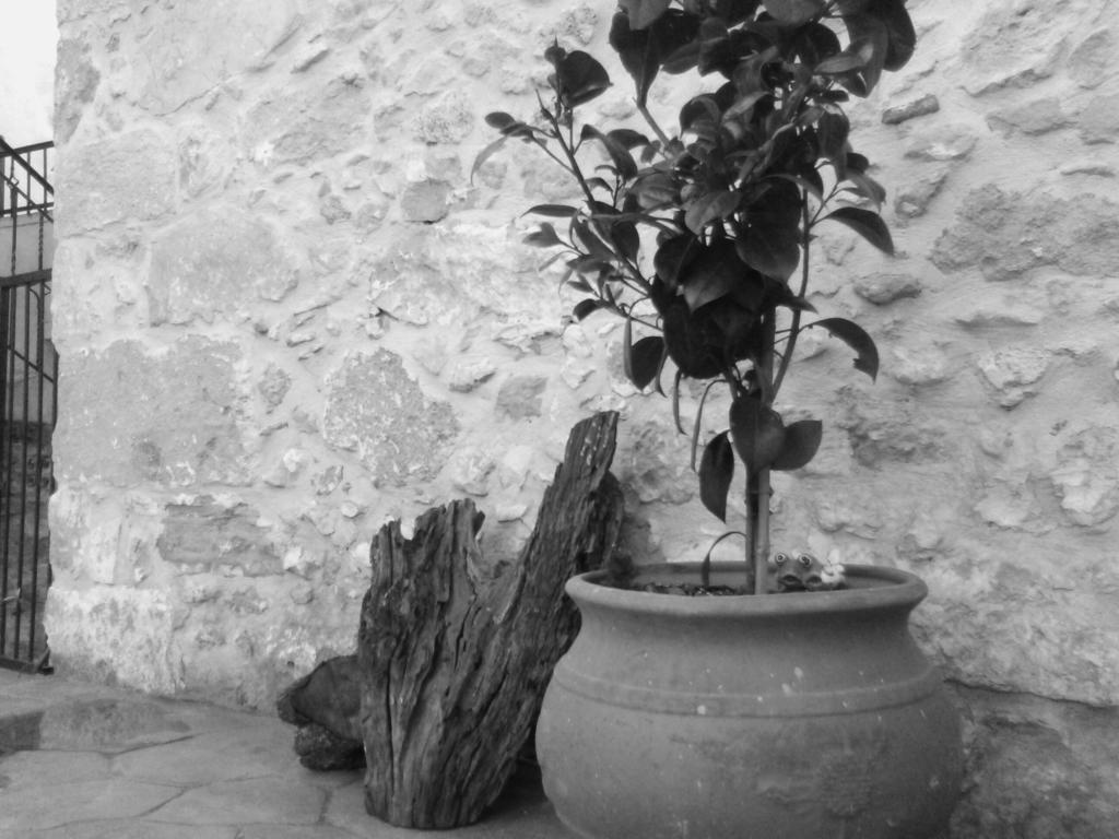 Picturesque Traditional Stone House Holiday home *